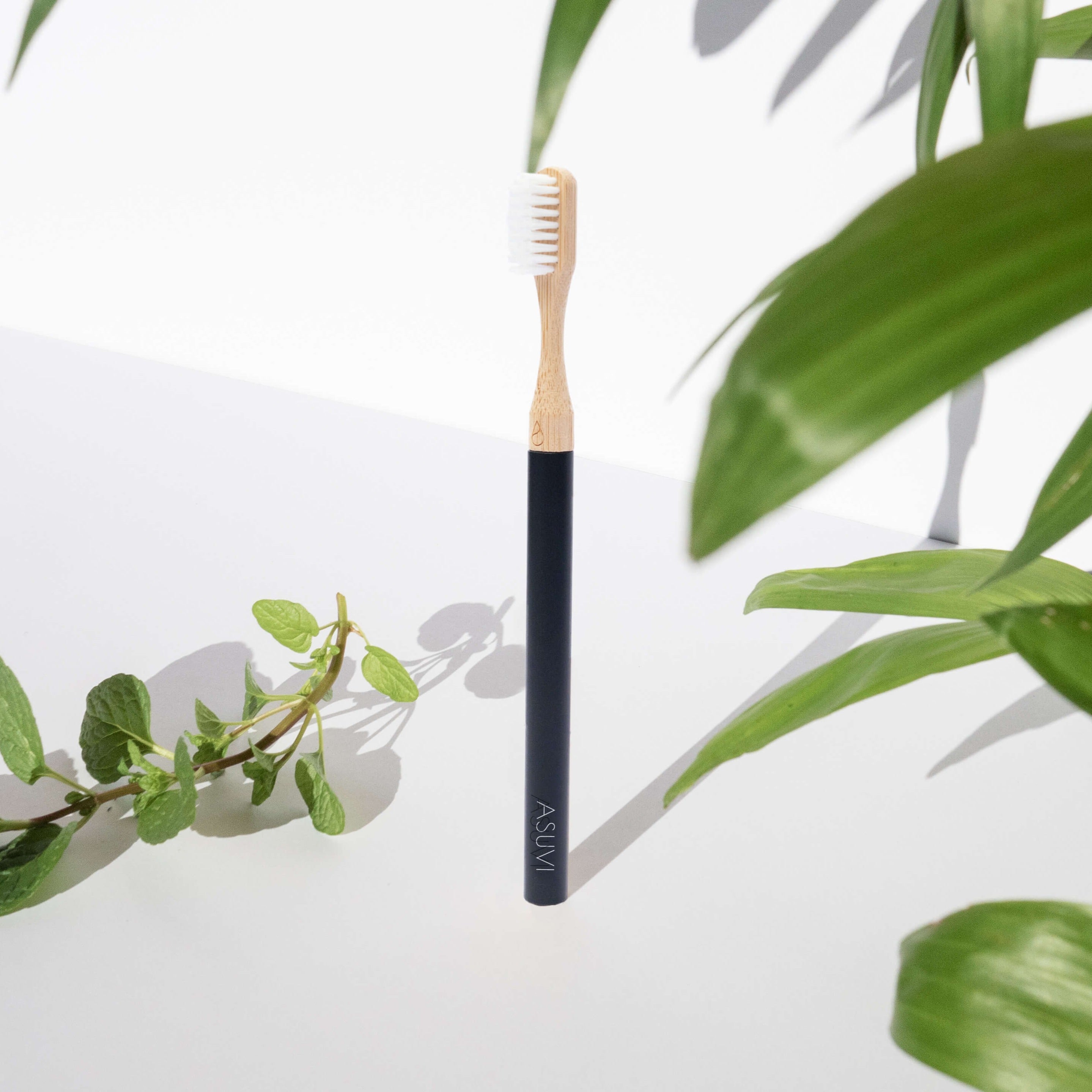 Eco-Toothbrush