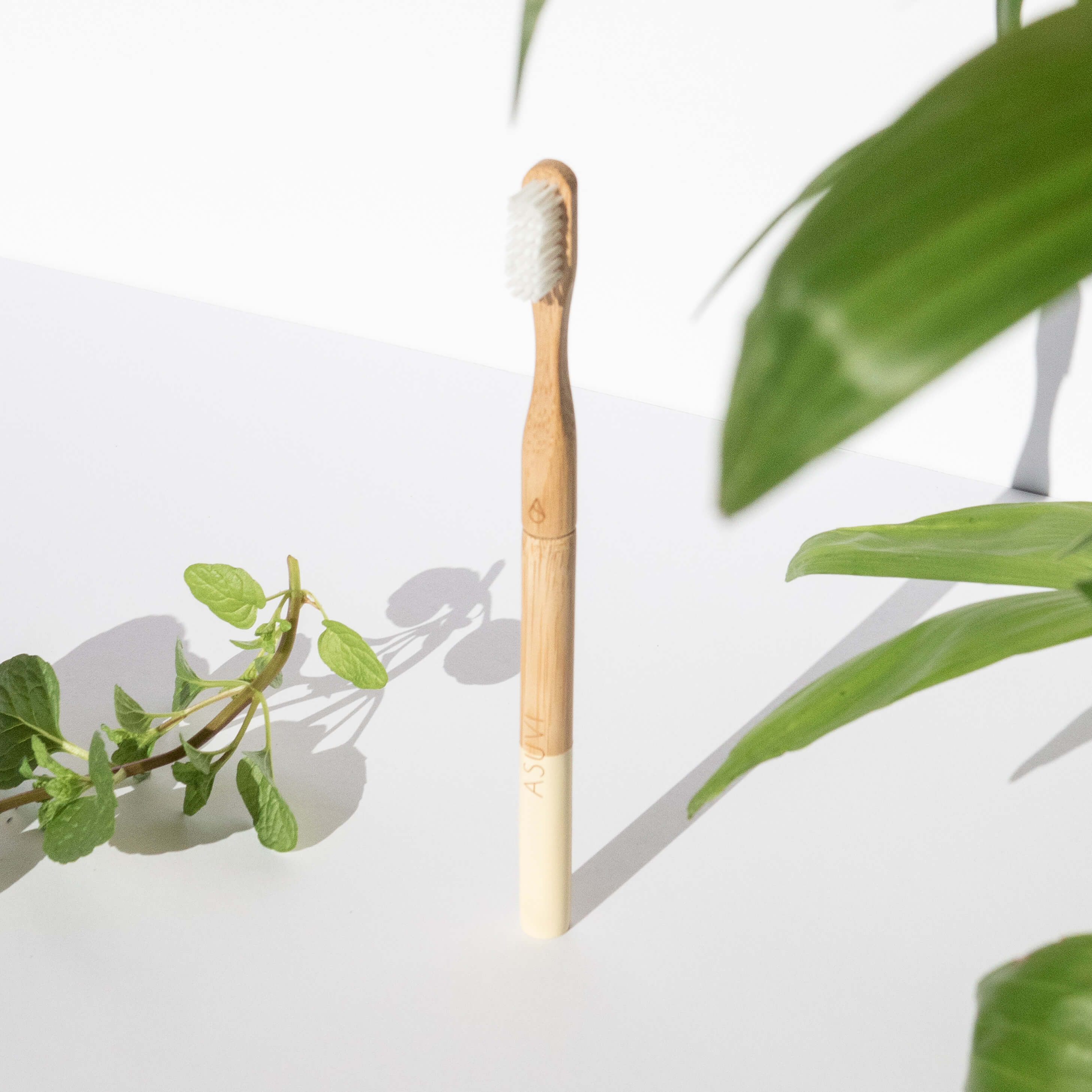 Bamboo Toothbrush (discontinued)