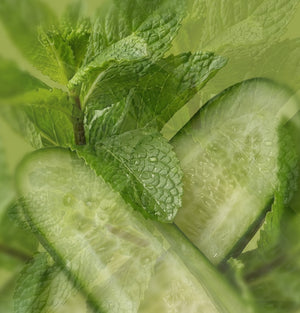 Cucumber & Mint